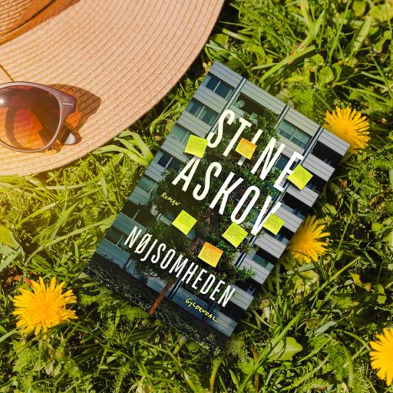 Stine Askovs roman 'Nøjsomheden' ligger i en grøn græsplæne med gule mælkebøtter. Ved siden af ligger en solhat og et par solbriller.
