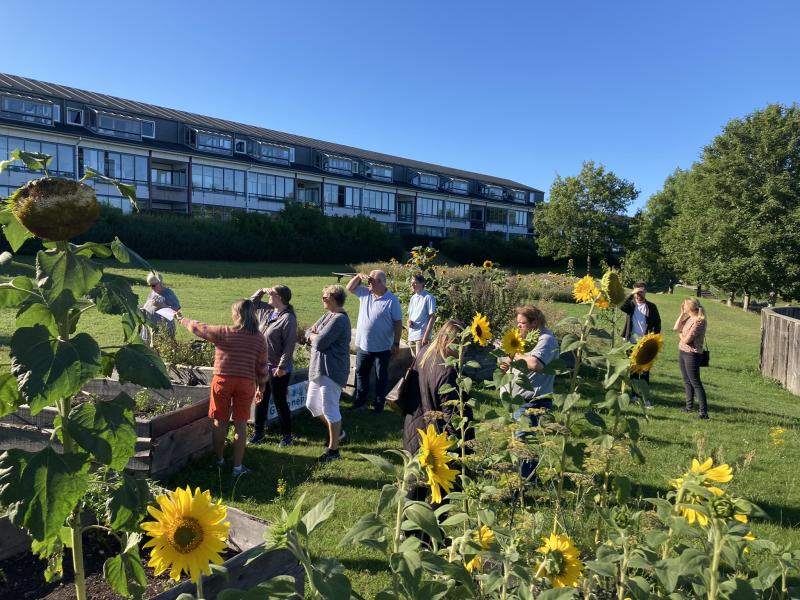 Billede fra Grønneparken i Aalborg Øst