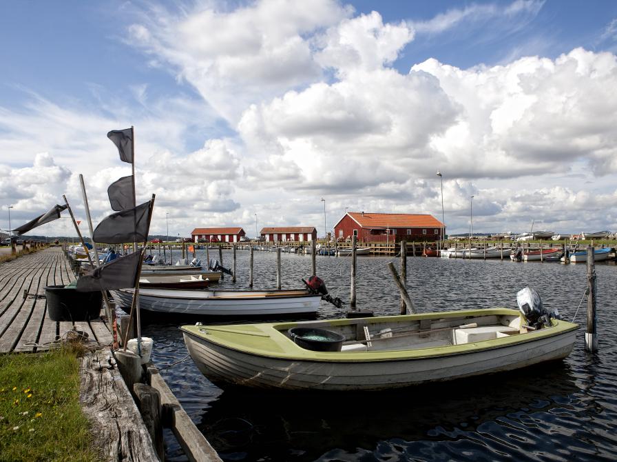 Joller i Limfjorden i Nibe